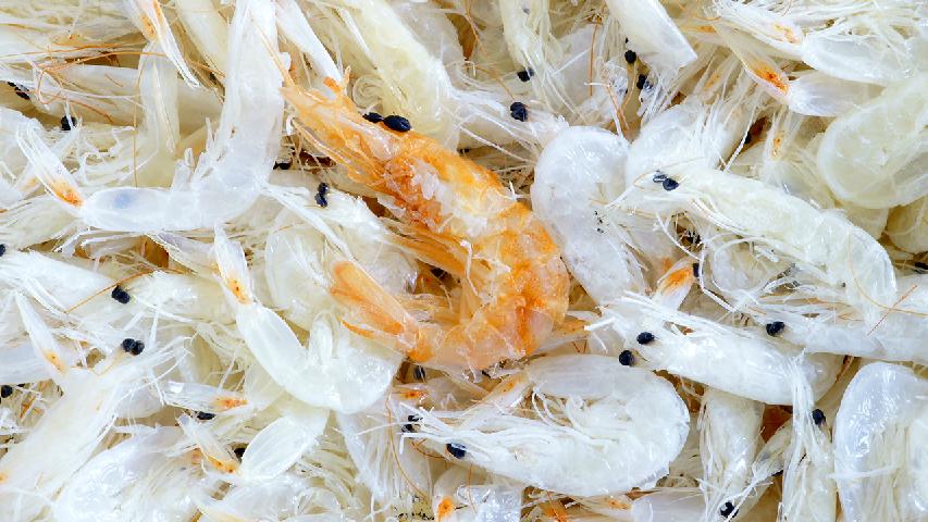 你知道海虾与河虾的区别吗？