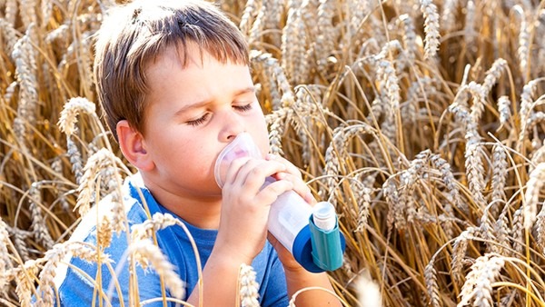 小儿哮喘发病的原因是什么 这些因素会导致儿童哮喘