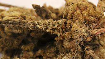 情感测试提 小细节测试他爱不爱你