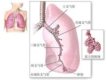 肺良性肿瘤