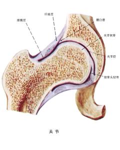 家族性地中海热