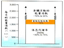 基础代谢率异常