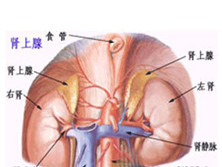 肾上腺髓质功能亢进