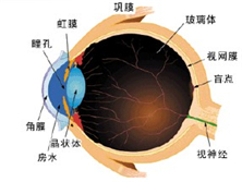 眼眶骨膜炎