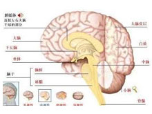 脑血管痉挛