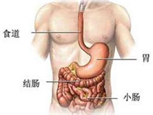 大肠埃希杆菌性胃肠炎