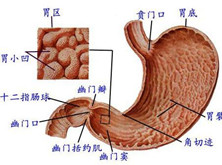 急性腐蚀性胃炎