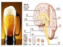 酒精中毒性小脑变性