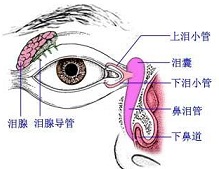 泪器病