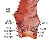 淋菌性肛门直肠炎