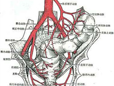 内脏动脉慢性闭塞