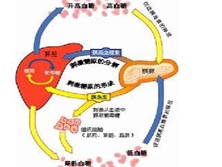 乳酸酸中毒