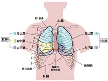 胃切除后吸收不良综合征