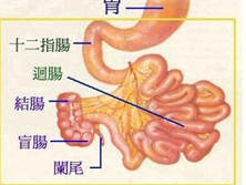 小肠吸收不良综合征
