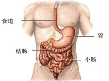 消化系统疾病伴发的精神障碍