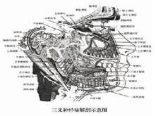 药物中毒性周围神经病