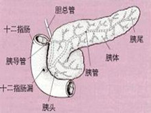 胰腺囊性纤维性变