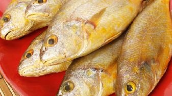 什么鱼最适合熬汤 做养生鱼汤应该用哪种鱼