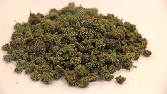 心理测试 快来测测你的他是否有恋母情结