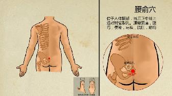 如何按摩穴位减肥 刮油消脂效果超赞