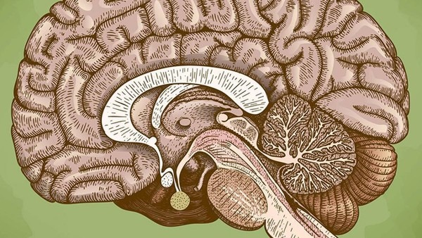 脑炎需要治疗多久 脑炎的病因是什么
