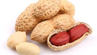 心理测试 快来测测谁才是你的闺蜜?