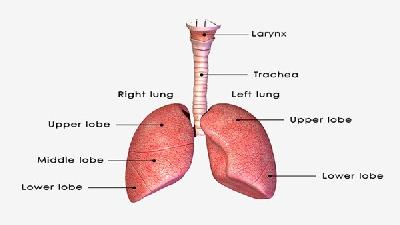 到了晚期肺肿瘤还能活多久？