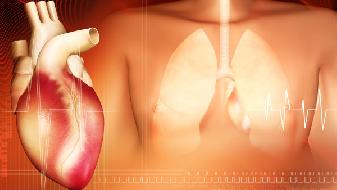 男性脱发是有哪些原因导致的呢？