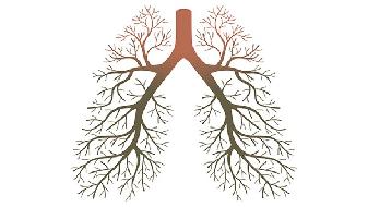 小儿肺气肿的典型症状都有什么