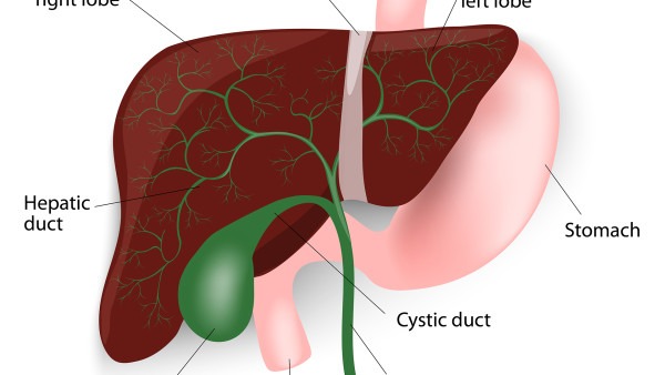 肝血管瘤的症状有哪些 这5个肝血管瘤表现一定要重视