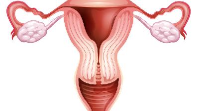 女性要在生活中重视月经不调的预防方法