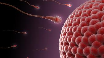 年龄大了，精子活力都大不如前