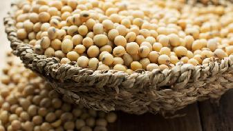 补钙补充蛋白质吃豆制品 但豆制品不能与蜂蜜同食