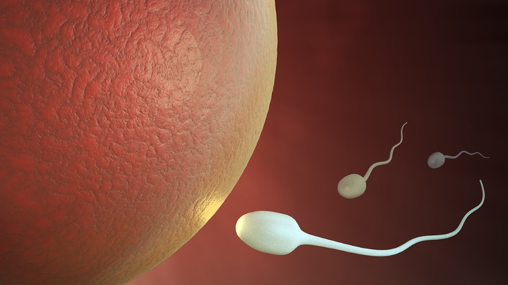 男人精子体外存活多长时间 警惕5中伤害精子的行为