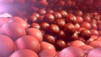 酒精与肥皂哪个消毒效果好 用什么可以杀死新冠病毒