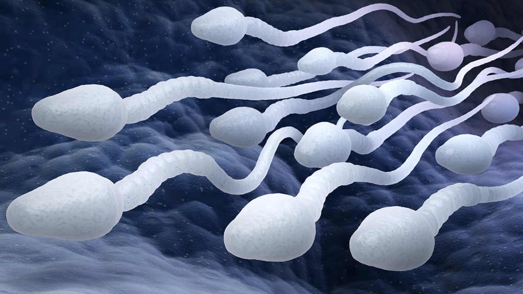 男性哪些坏习惯容易影响精子生成 想要怀孕的你知道吗