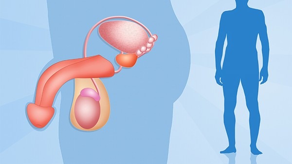 前列腺稍大要怎么恢复 前列腺稍大是前列腺增生吗