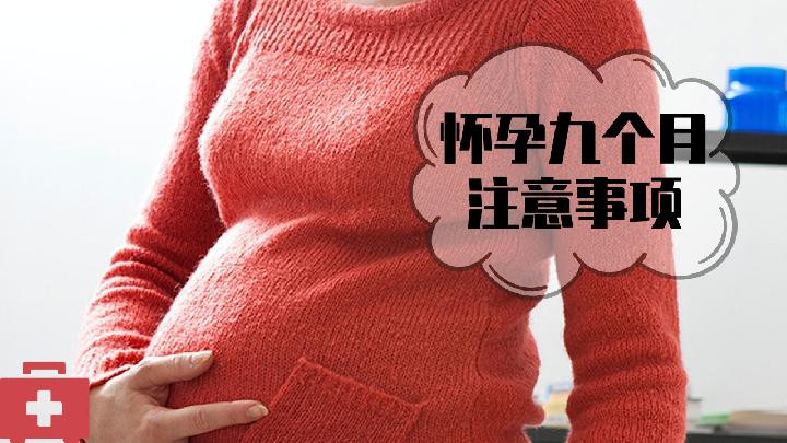 这几个时期怀孕需警惕 胎儿出现缺陷风险大