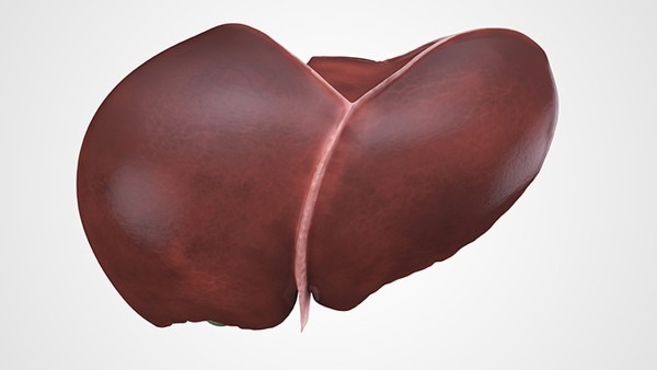 肝有点疼是怎么回事 可能导致肝有点疼的5大病因分别都是什么