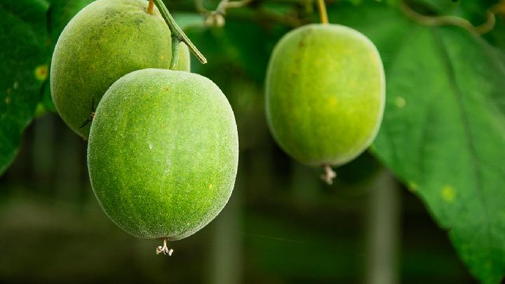 哪些水果含卵磷脂最多 大豆卵磷脂的4大功效