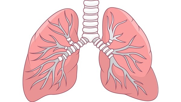 肺结核的早期症状都有哪些 肺结核早期会咳血吗