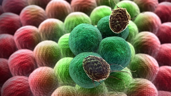 什么是小B细胞淋巴瘤 小B细胞淋巴瘤的治疗方法都有哪些