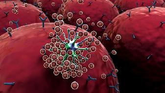 新冠病毒变异毒株一共有几种 新冠疫情防控要注意4个方面