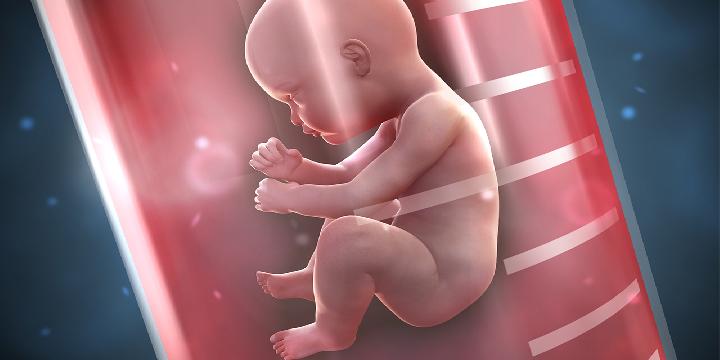 新生儿黄疸都有哪些类型 新生儿黄疸主要有六大类型