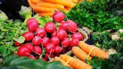 冬季必吃八种养生蔬菜 冬季4种食物不宜吃