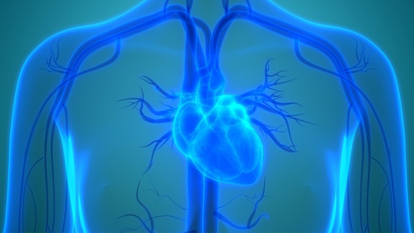 心肌梗后如何进行定期复查 心肌梗早期会出现哪些症状