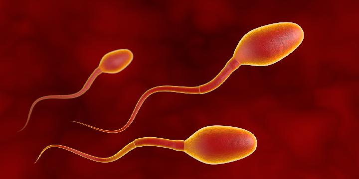秋天怎么预防男性前列腺疾病 6个秋季预防男性前列腺疾病的小妙招