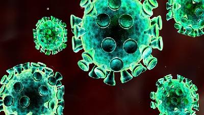 新冠病毒和流感病毒是同一类病毒吗 戴口罩真的能否预防新冠吗