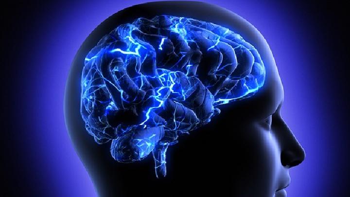 专家详解脑萎缩的十大早期信号