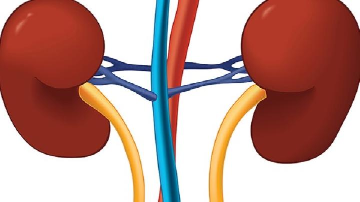 家人要帮助肾盂肾炎患者做好护理